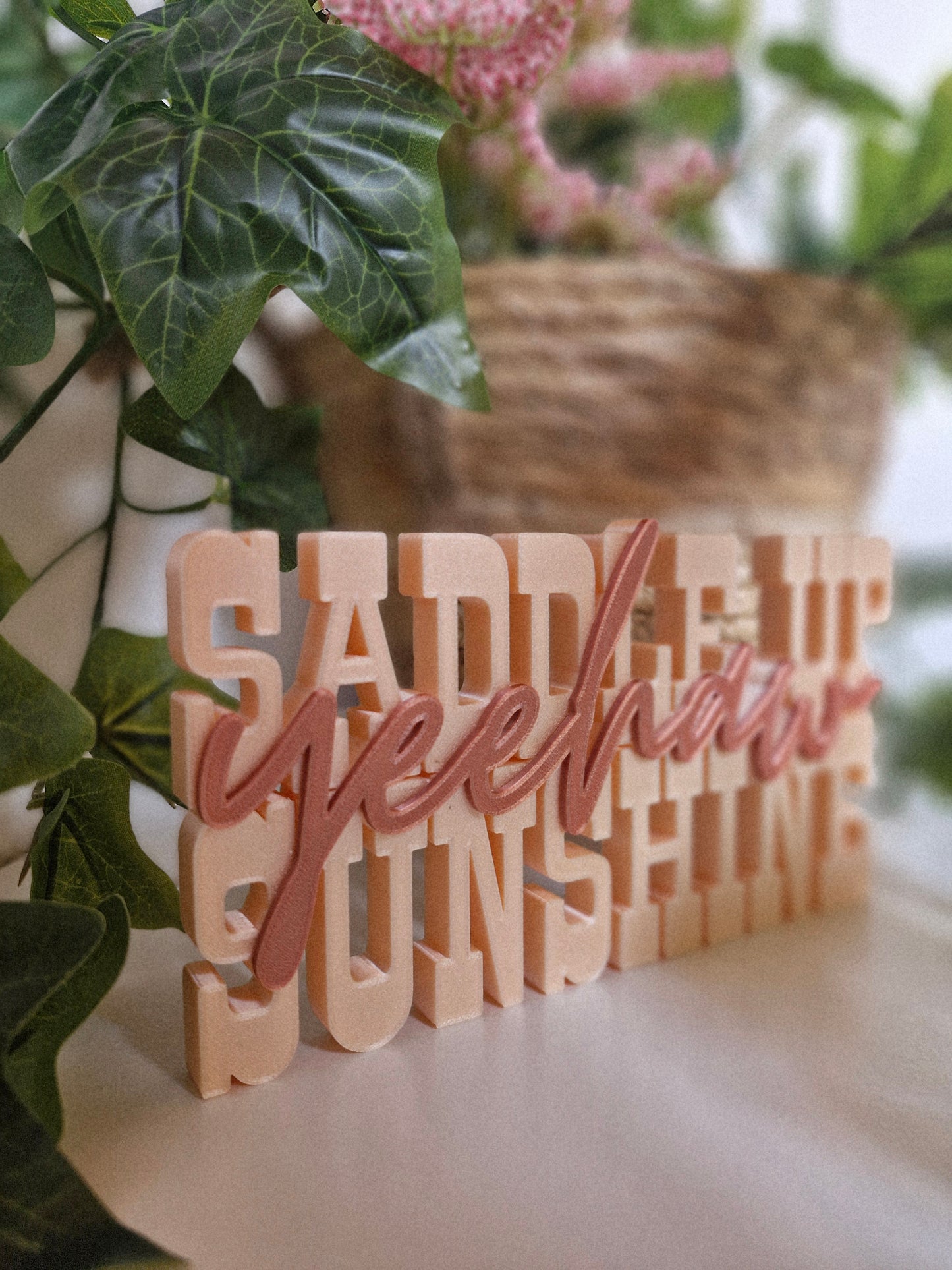 Cowboy Romance – Schriftzug | Saddle Up Sunshine | Deko fürs Bücherregal | 3D-Druck