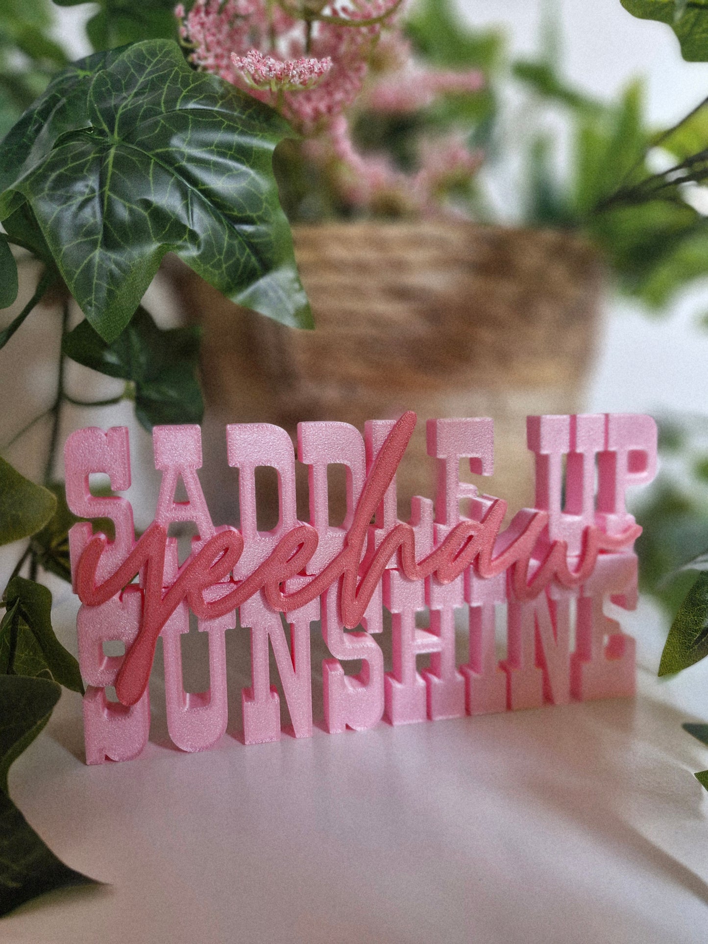 Cowboy Romance – Schriftzug | Saddle Up Sunshine | Deko fürs Bücherregal | 3D-Druck