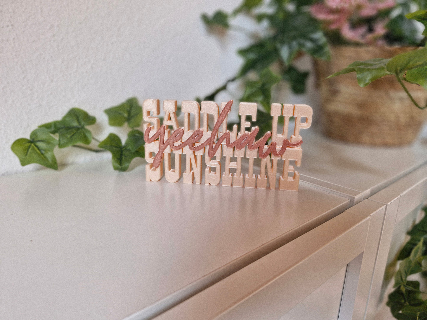 Cowboy Romance – Schriftzug | Saddle Up Sunshine | Deko fürs Bücherregal | 3D-Druck
