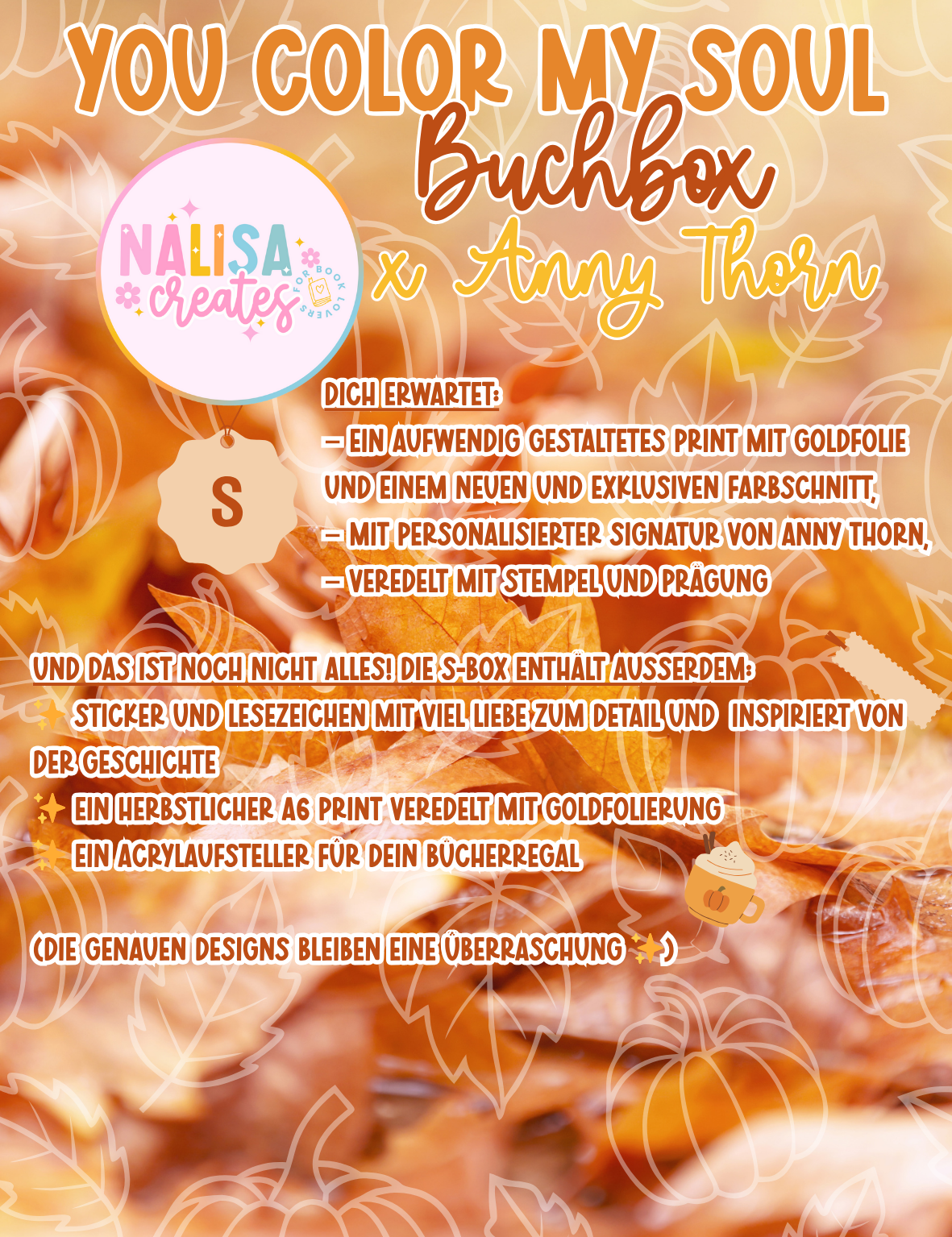 Exklusive S-Buchbox zu You Color My Soul von Anny Thorn