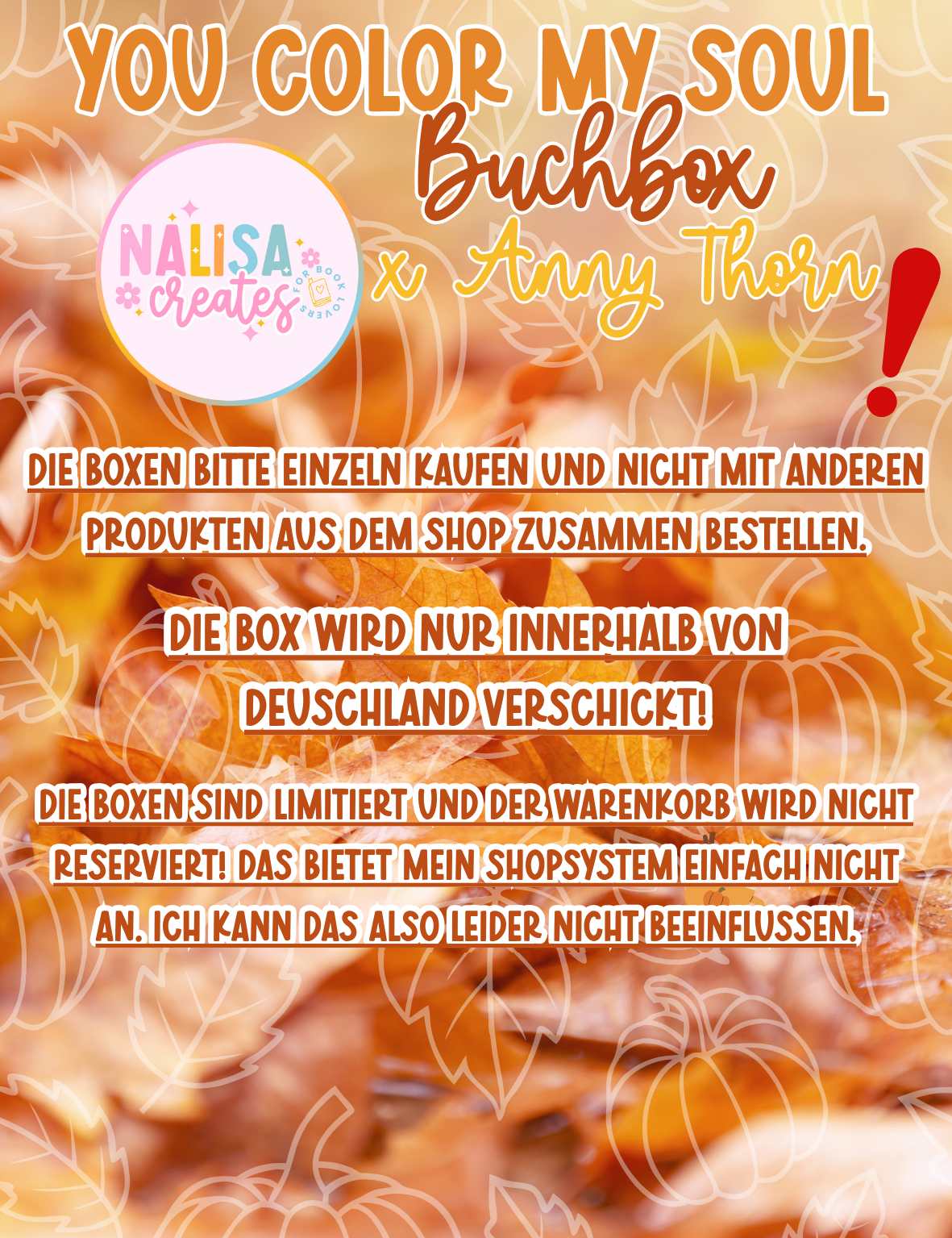 Exklusive XL-Buchbox zu You Color My Soul von Anny Thorn