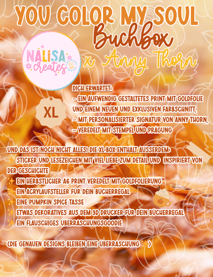 Exklusive XL-Buchbox zu You Color My Soul von Anny Thorn