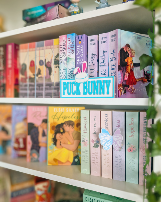 Puck Bunny | Ice Hockey Romance | Deko fürs Bücherregal | 3D-Druck